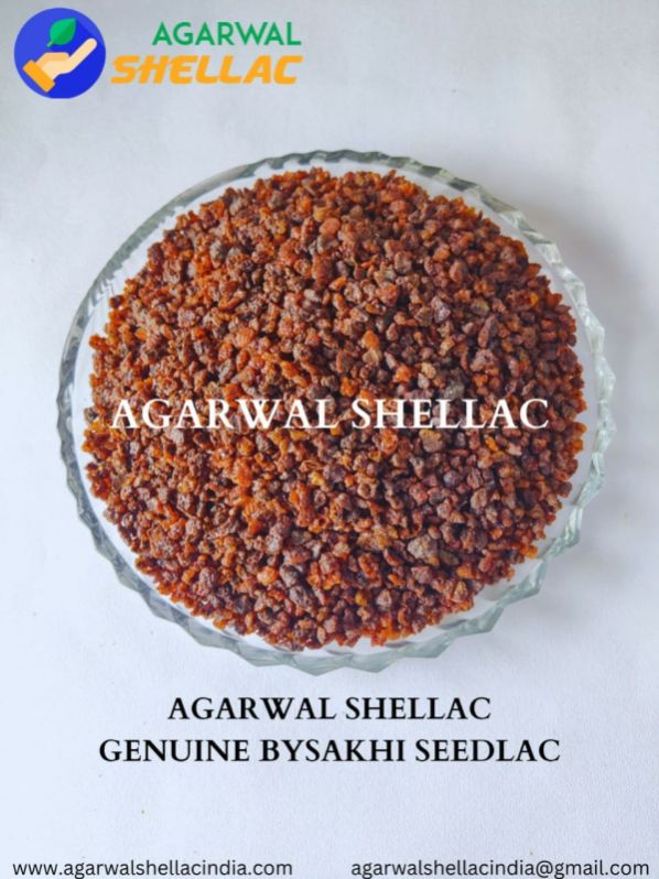 Golden Agarwal Shellac 5% Kusmi Seedlac