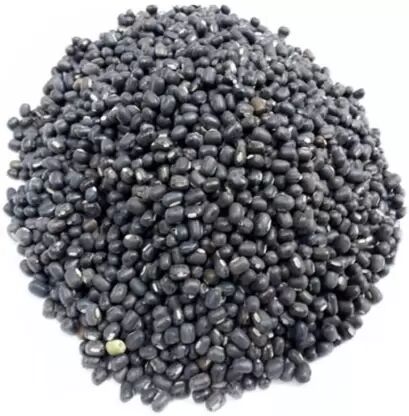 Natural Whole Urad Dal, Packaging Size : 250gm, 500gm