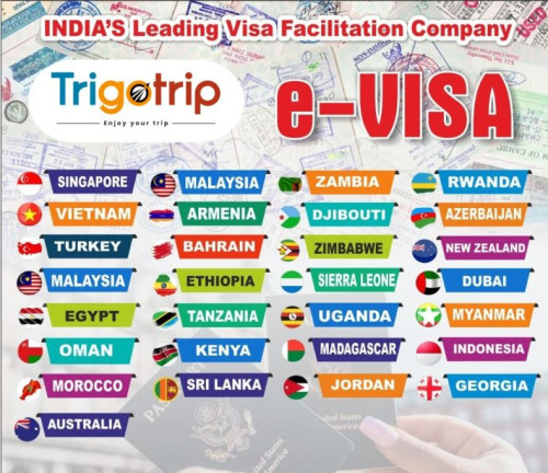 e-Visa Service