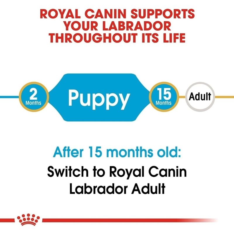 3 Kg Royal Canin Labrador Dog Food