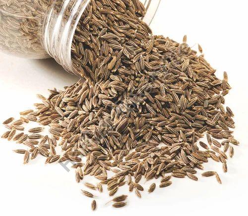 Raw 100% Pure cumin seeds, Grade Standard : Food Grade