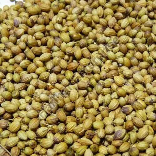 Brown Dried Coriander Seeds, for Cooking, Packaging Size : 1kg/ 5kg/10kg/20kg