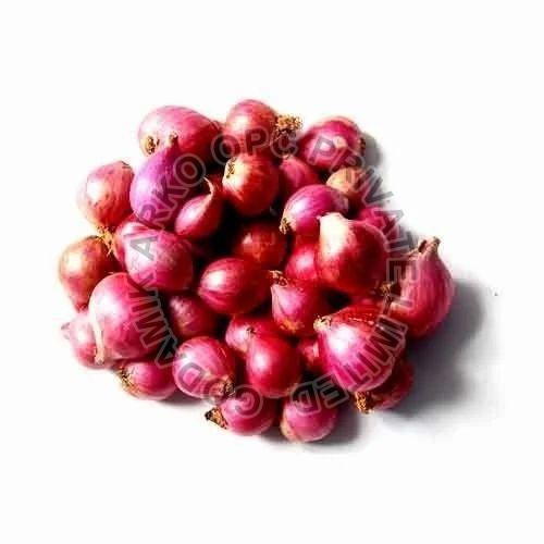 Fresh Small Red Onion, for Snacks, Cooking, Packaging Type : Gunny Bags