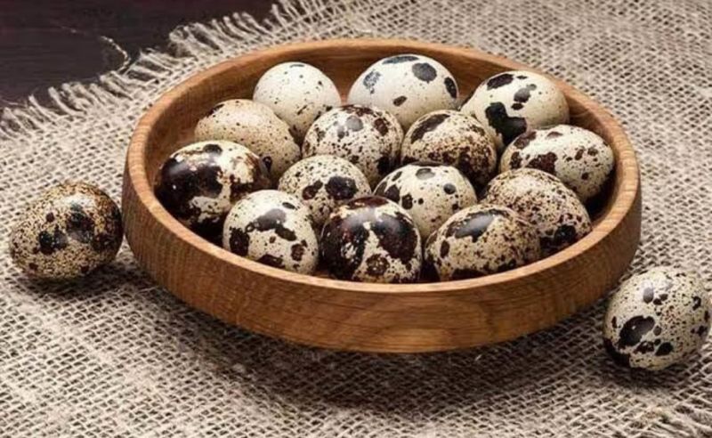 White with brown spot Quail Egg