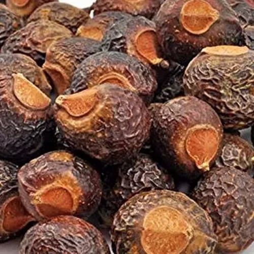 Dried Soap Nut