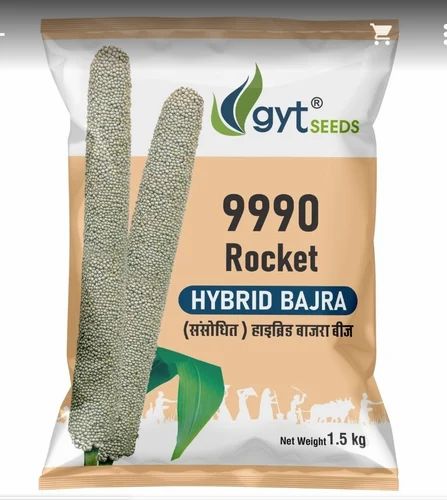 Grey 9990 Rocket Hybrid Bajra Seeds, for Agriculture, Packaging Type : Plastic Packet
