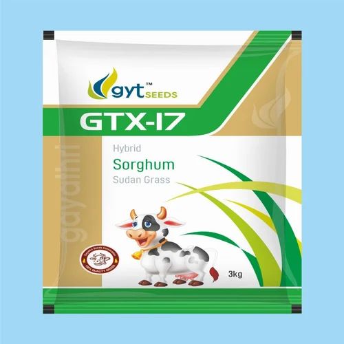 GTX-I7 Hybrid Sorghum Sudan Grass Seeds