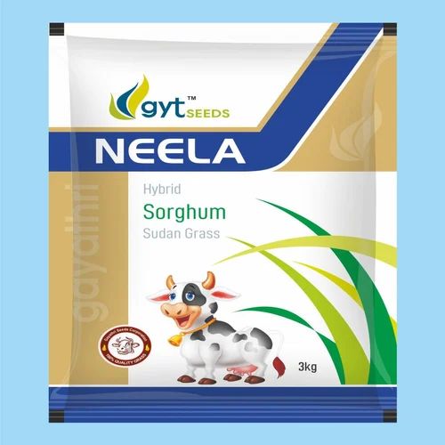 Neela Hybrid Sorghum Sudan Grass Seeds