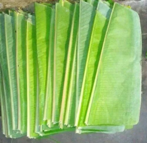 A Grade Banana Leaf