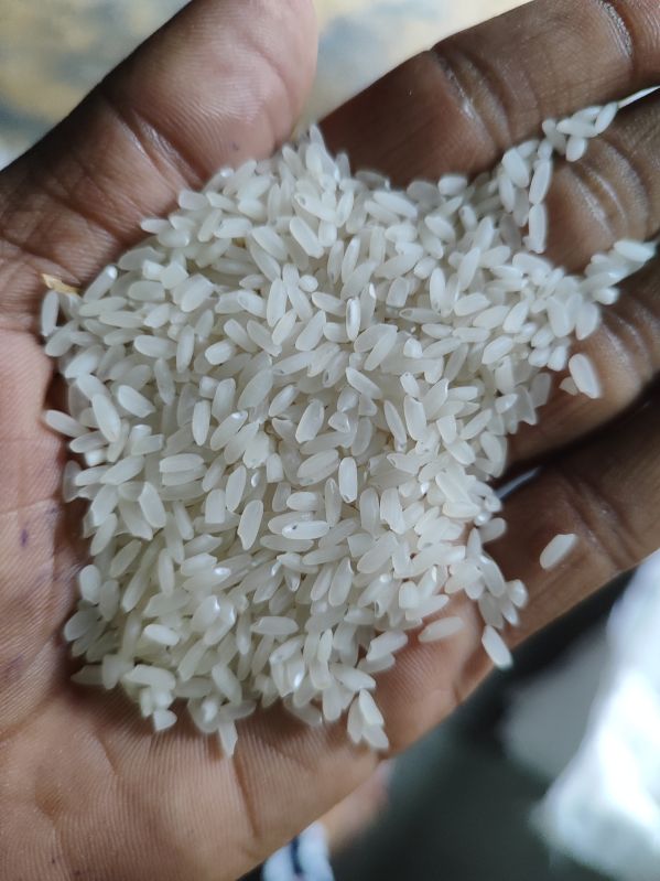 Light White Hard Common Mansoori Rice, for Food, Style : Fresh