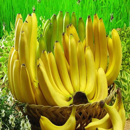 banana