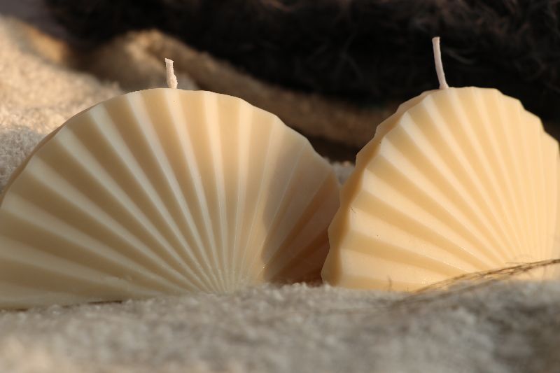 Shell Fragrance Candle