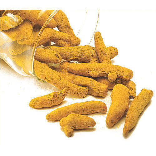 Raw Yellow Turmeric Finger