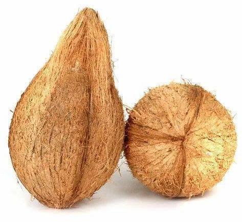 Raw Natural semi husked coconuts, for Pooja, Medicines, Cosmetics, Cooking, Packaging Size : 13 kg
