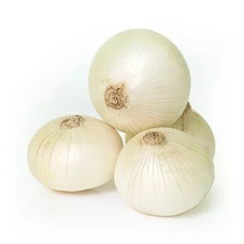 White onion, Packaging Size : 50 Kg