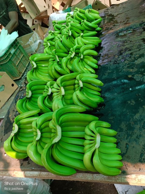 Organic 7kg Box Fresh Banana, Color : Green