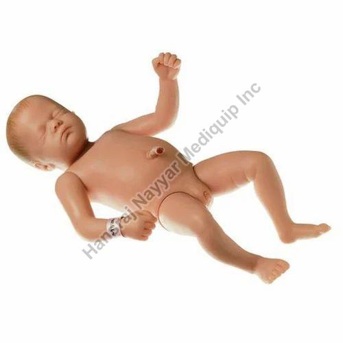 Newborn Human Baby 3D Anatomical Model, for School, Science Laboratory, Feature : Accurate Design, Crack Proof