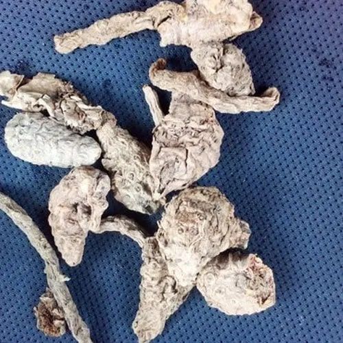 Organic Turmeric Roots, for Ayurvedic Products, Medicine, Shelf Life