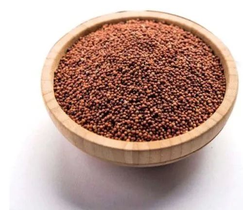 Brown Natural Agro Fresh Ragi Seeds, for Cooking, Cattle Feed, Style : Dried