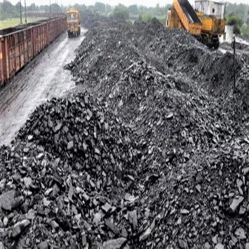 Black Meghalaya Coal, for Brick kiln, Feature : High Fast Flaming, High Reliability