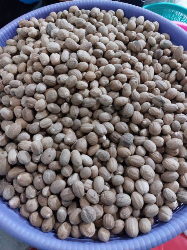 Nutmeg Seeds