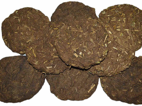 cow dung cake