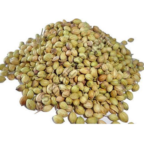 Organic Green Coriander Seeds, for Cooking