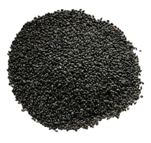 Black Basil Seeds, For Medicinal Purpose, Packaging Type : Plastic Pack