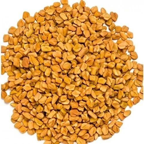 Natural Fenugreek Seeds, for Cooking, Packaging Type : Plastic Packet