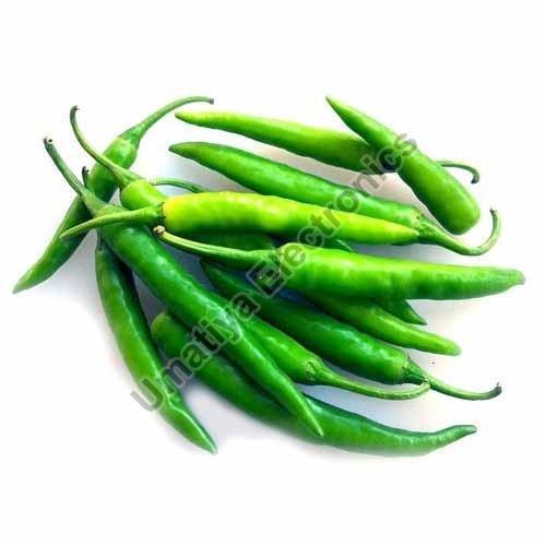 Fresh green chilli, Packaging Type : Gunny Bag
