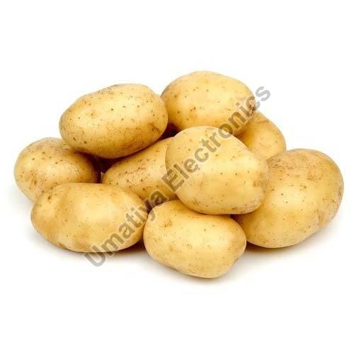Organic fresh potato, Shelf Life : 10 Days