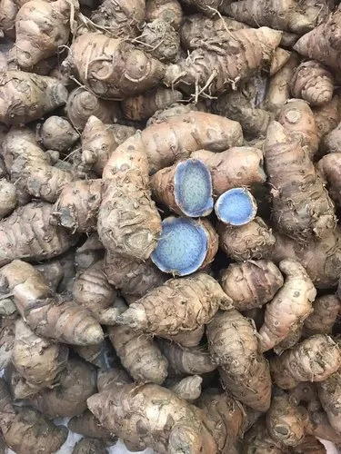 black turmeric