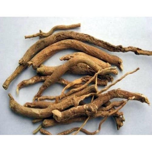 Dried Punarnava Root, Packaging Type : Loose