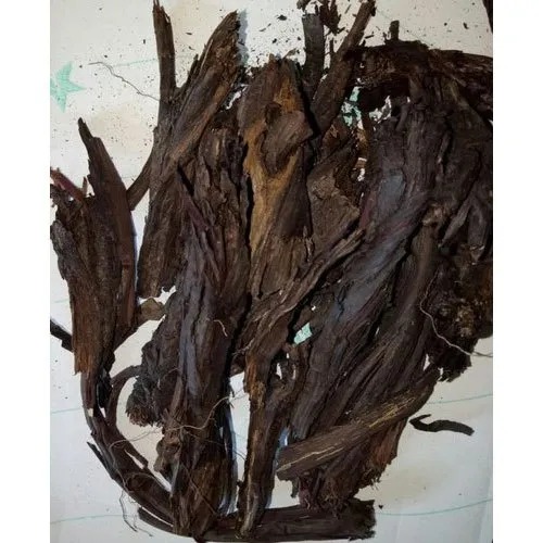 Brown Dried Ratanjot Root, Packaging Type : Plastic Bag
