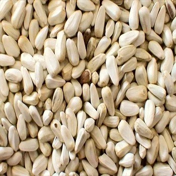 Natural Safflower Seeds, Packaging Type : HDPE Bag