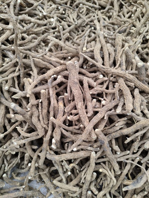 Natural Solid Dried Sarpagandha Root, Packaging Type : Loose