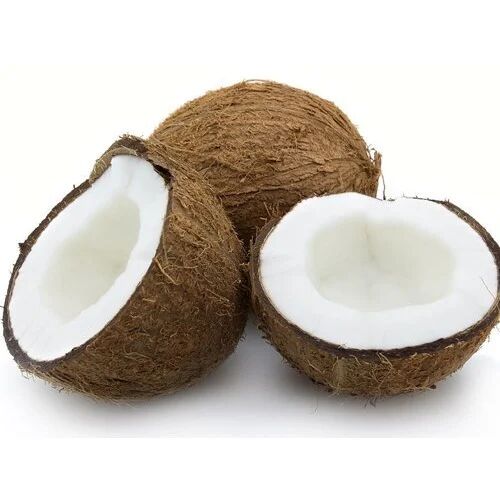 Natural Fresh Husked Coconut, Packaging Type : Gunny Bags