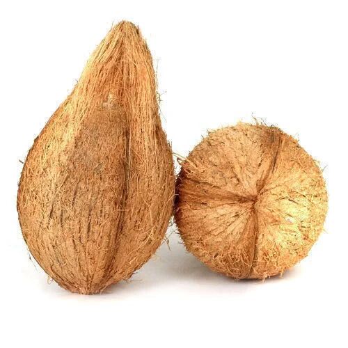 Natural Fresh Semi Husked Coconut, for Pooja, Medicines, Cosmetics, Cooking, Packaging Type : Gunny Bags