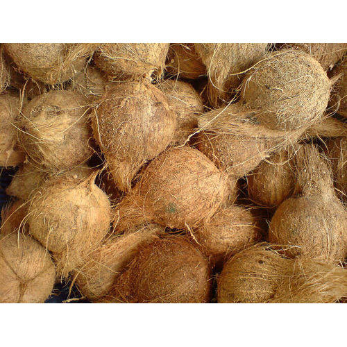 Natural Semi Husked Coconut, for Pooja, Medicines, Cosmetics, Cooking, Packaging Type : Gunny Bags