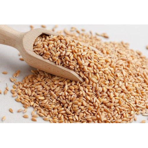Natural Wheat Grain, for Making Bread, Cooking, Cookies, Packaging Type : Gunny Bag