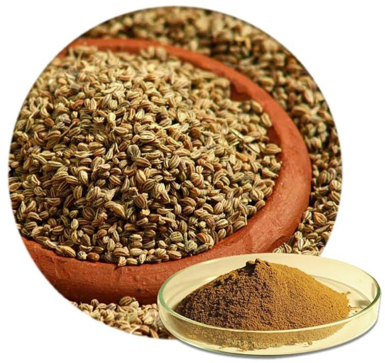 Light Brown Organic Ajwain Powder, for Cooking, Spices, Grade : Superior