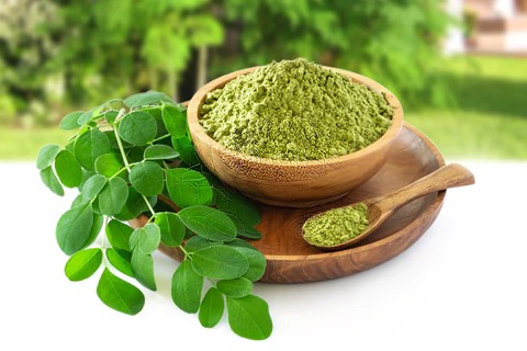 Organic tulsi powder, Grade : Superior