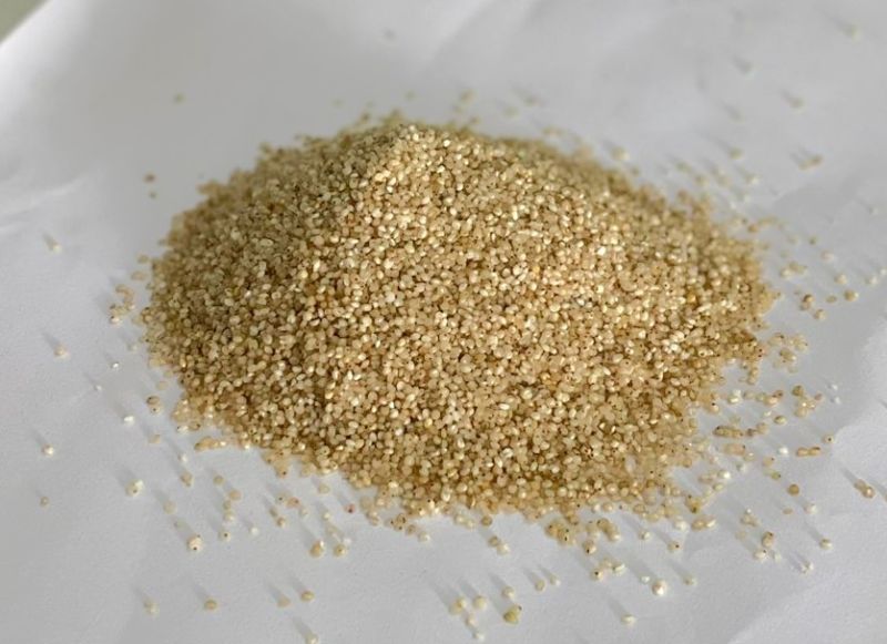 Natural Barnyard Millet( Non Germinated), Packaging Size : 25 Kg