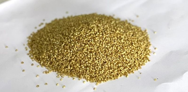 Browntop Millet( Non Germinating ), For Cooking, Variety : Natural