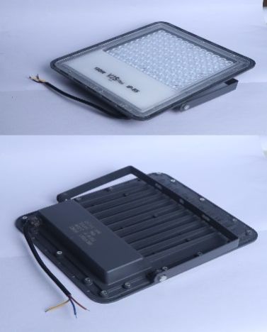 Lens LED Flood Light