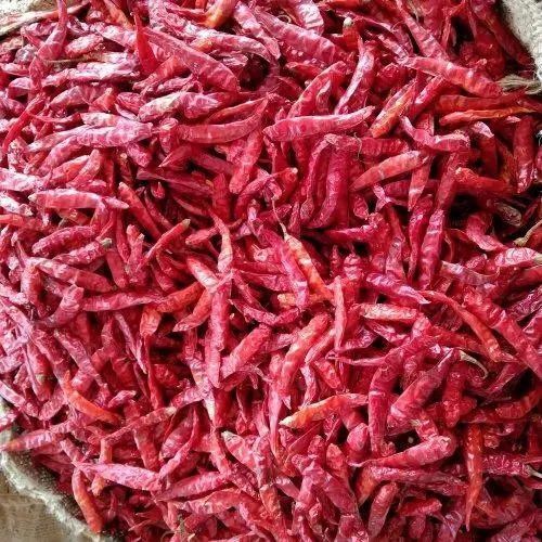 dry red chilli
