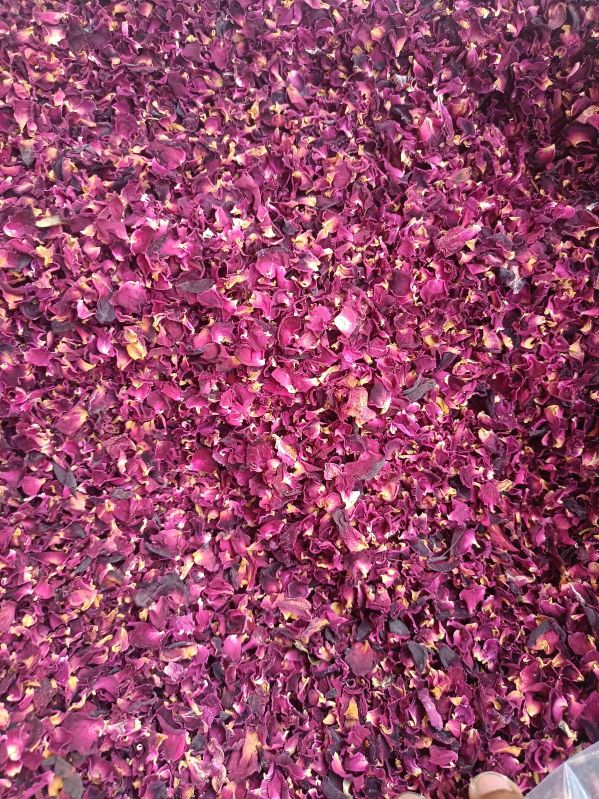 Dry Rose Petals