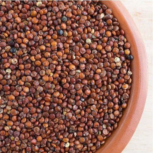 Red Quinoa Seeds