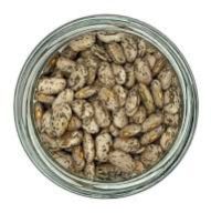 High-quality Organic Pinto Beans