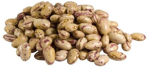 Natural Dried Pinto Beans